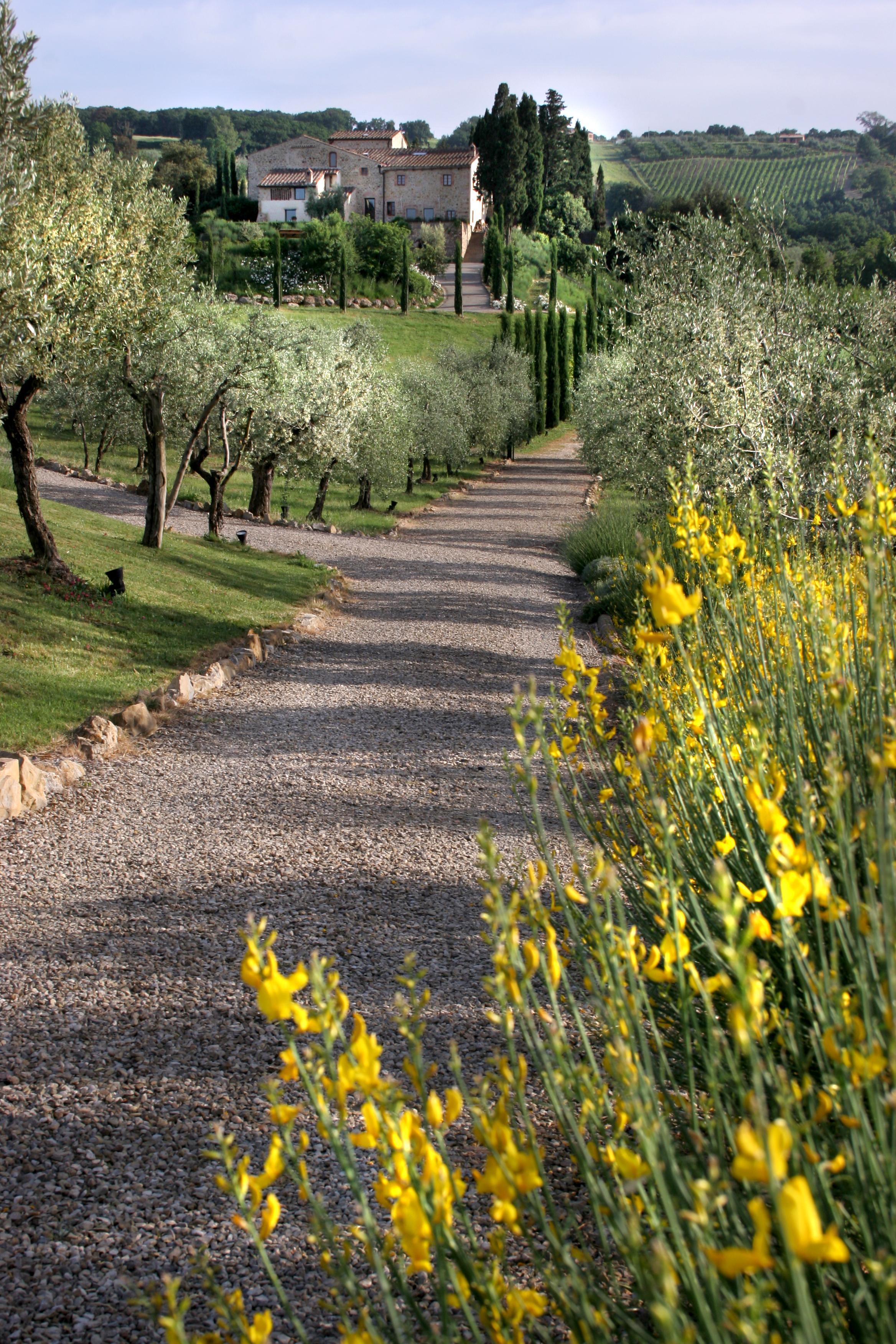 Tenuta Sant'Ilario Gambassi Terme Exterior photo